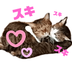 yurina_20200609205113