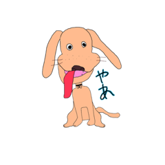 basic dog