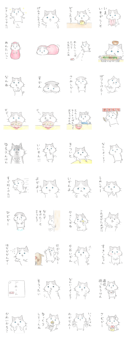 Fukuoka's cat. Fukuoka's cat.