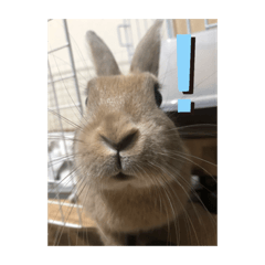 mizuki_20200609211815