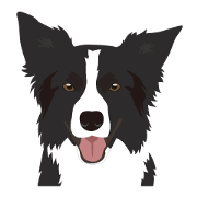 Cool border collies ~English~ Cool border collies ~English~