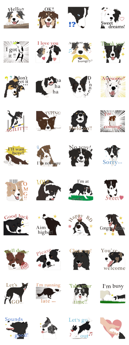 Cool border collies ~English~ Cool border collies ~English~