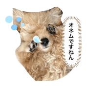 SIUPI_20200610001725