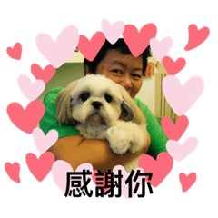 六小福的日常貼圖