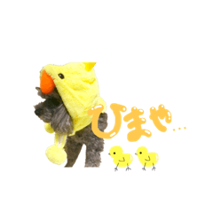 daily conversation. Japanese kawaii