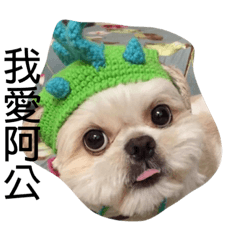 呂熊的日常貼圖