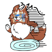 Sticker of Shetland sheepdog. Sticker of Shetland sheepdog.