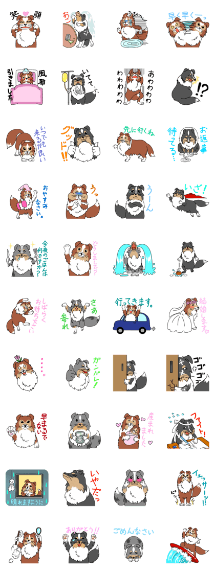 Sticker of Shetland sheepdog. Sticker of Shetland sheepdog.