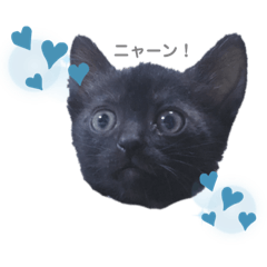 hikari_20200609231333