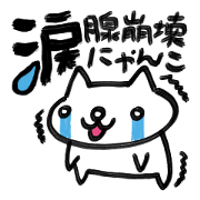 Cat to lacrimal gland collapse