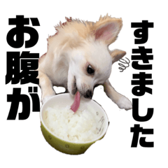 Mizuki_20200609235115