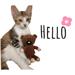 飛天小女警花花