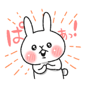 Expressionless and cute rabbit