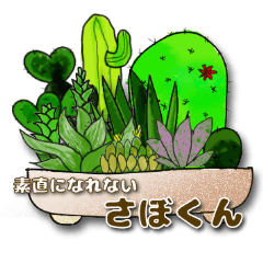 "Cactus" that cannot be obedient