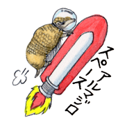 Armadillo and the space shuttle