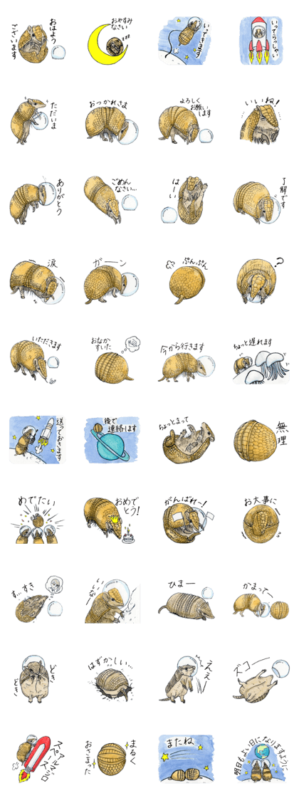 Armadillo and the space shuttle