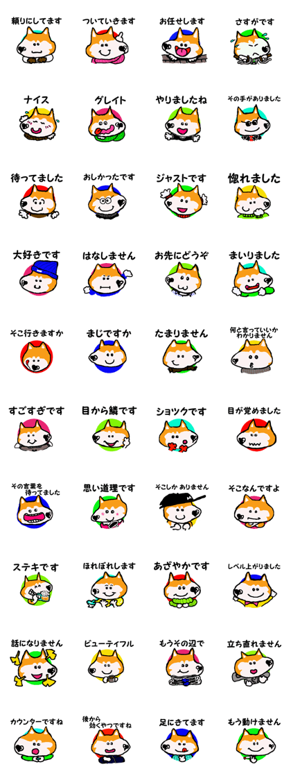 Shiba inu MOMO chan the third as well 10 Shiba inu MOMO chan the third as well 10