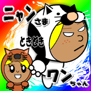 kitten with occasional doggy