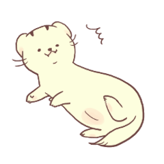 Ferret Namero