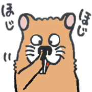 funny  face  hamsters.