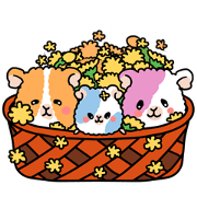 Feelings of MOMO Feelings of MOMO