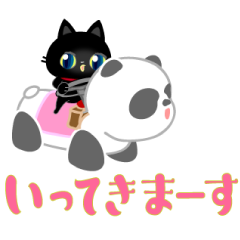 Greeting of a black cat kitten