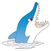 The Shark Paradis The Shark Paradis