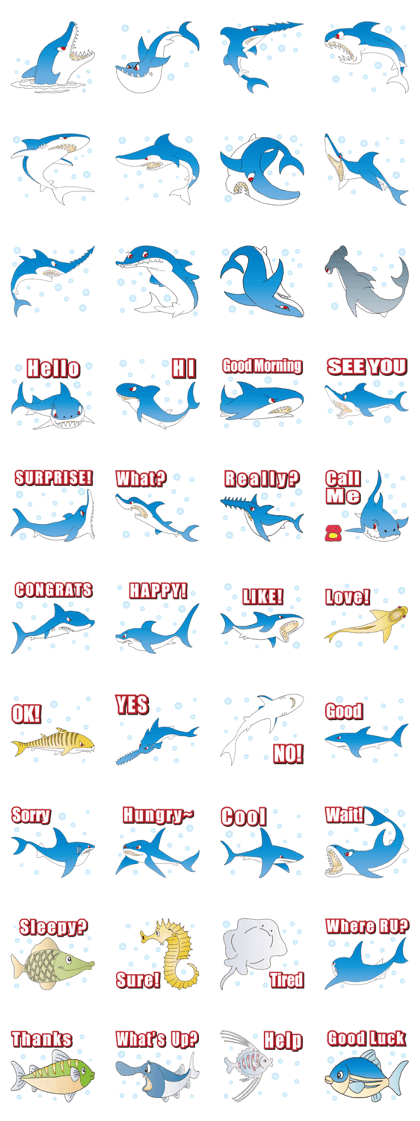 The Shark Paradis The Shark Paradis