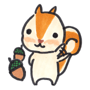 The Cute Squirrel The Cute Squirrel