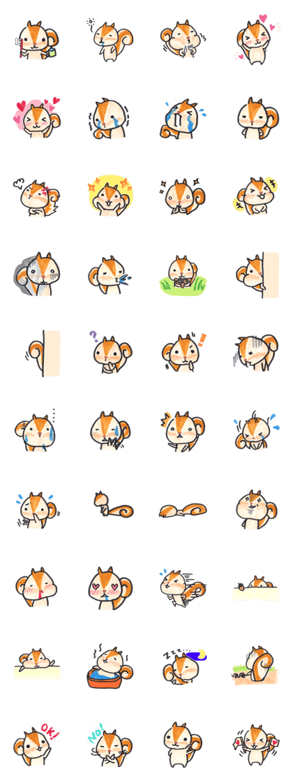 The Cute Squirrel The Cute Squirrel