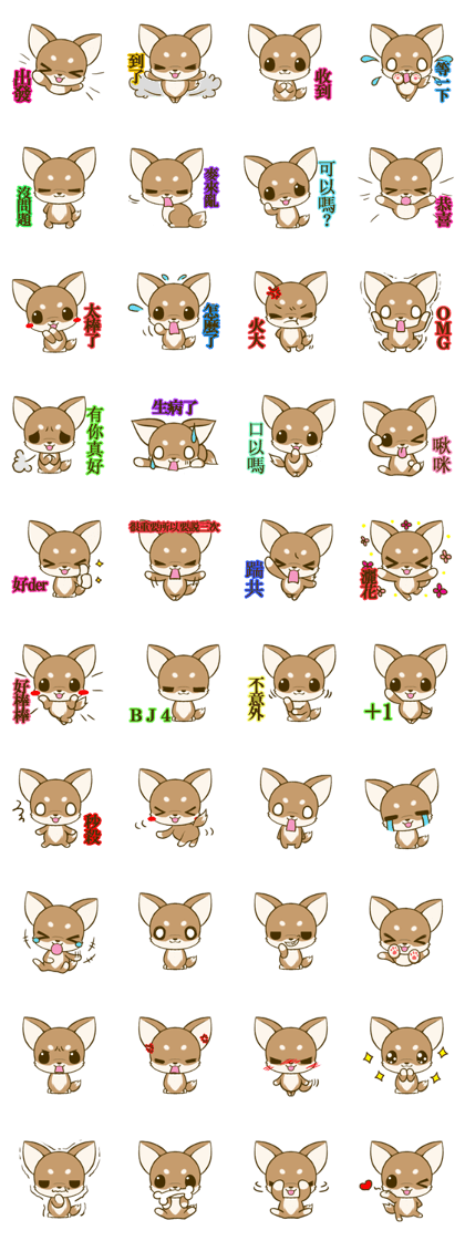 Chihuahuatan 7 Chihuahuatan 7