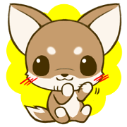 Chihuahuatan 6 Chihuahuatan 6