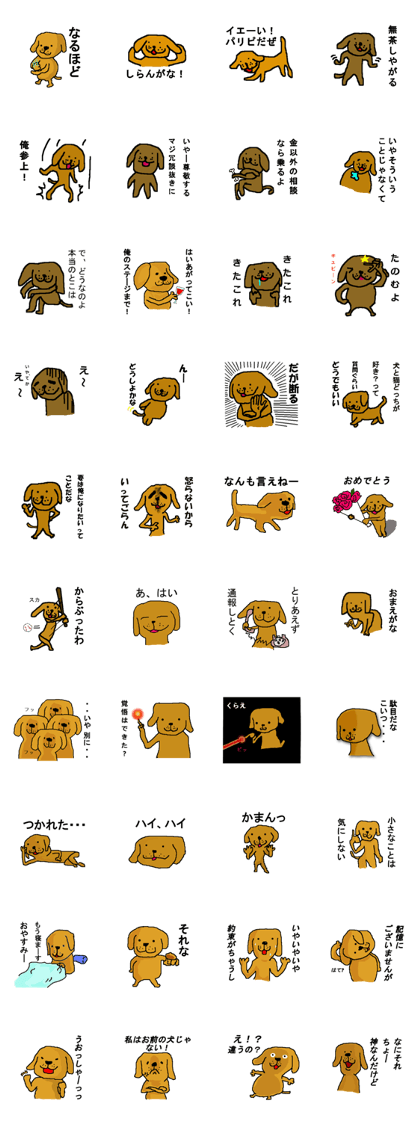 CRAZY DOG IS PRETTY CRAZY DOG IS PRETTY