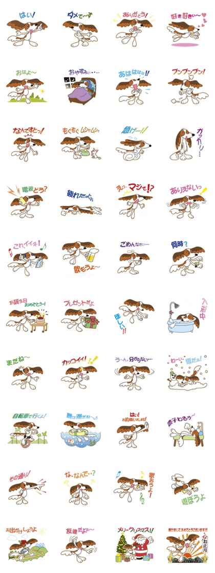 Papillon Dog Everyday Exciting