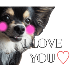 marina_20200610013353papikosan