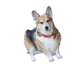 kazuki_20200609200306