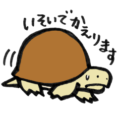 Gokubuto Tortoise for worker