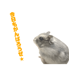 wataju_20200610084252