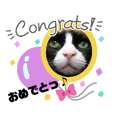 akiko_20200610155946