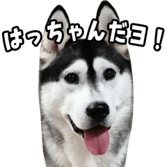 はっちゃん9ちゃんスタンプ Line スタンプ Line Store