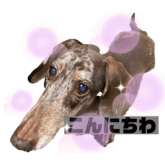 ayumi_20200610203516