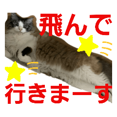 haruna_20200610204031