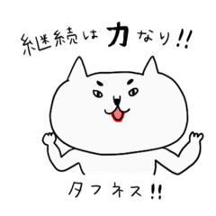 itookashi cat toughnessbody