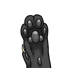 Black cat paw
