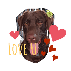 Dog Family Ozil Xhaka