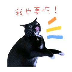 KKの日常生活