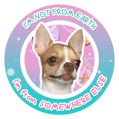 Why my dog looks like alien?