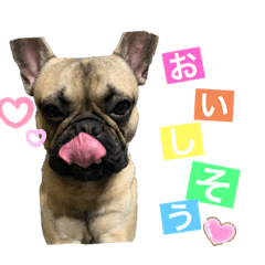 Asako_20200611142307