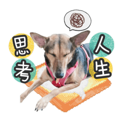 Kuro是寶貝