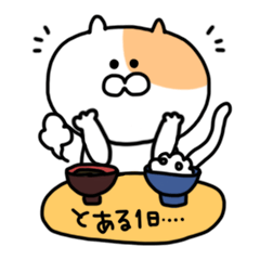 Fukushima cat 2